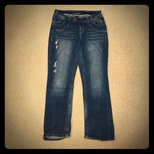 Lane Bryant Jeans